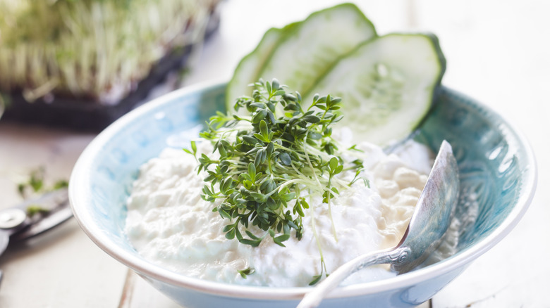 Bowl of cottage cheese with spoon