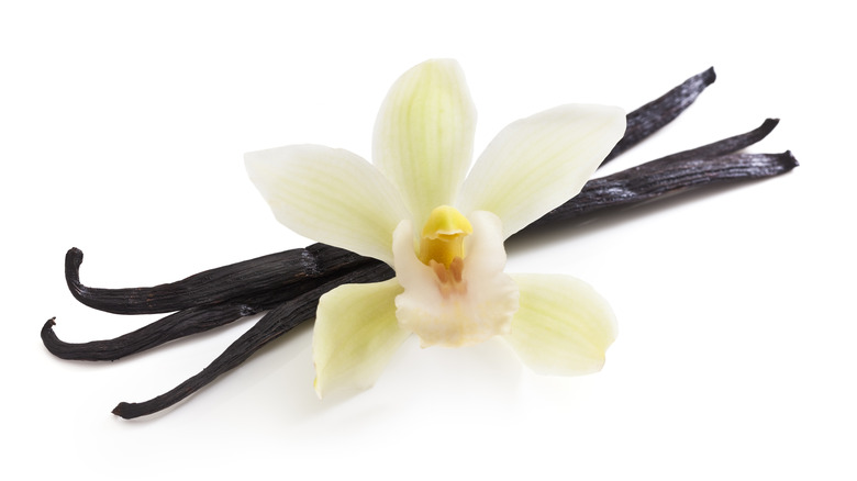 vanilla pods and flower