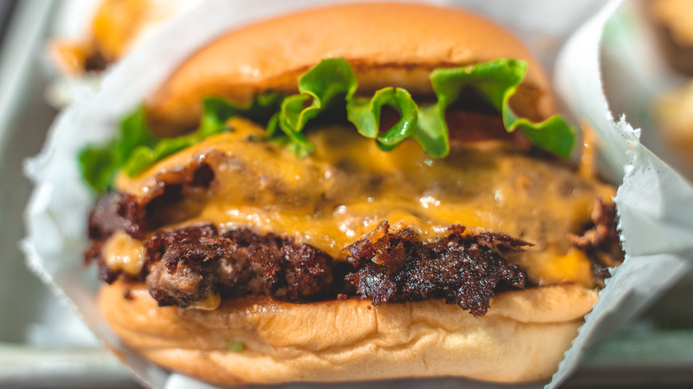 Shake Shack burger