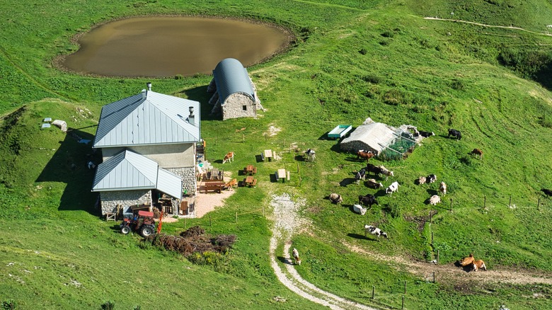 Swiss alpine dairy from above