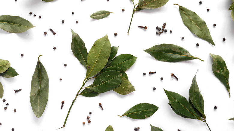 Bay leaves and pepper