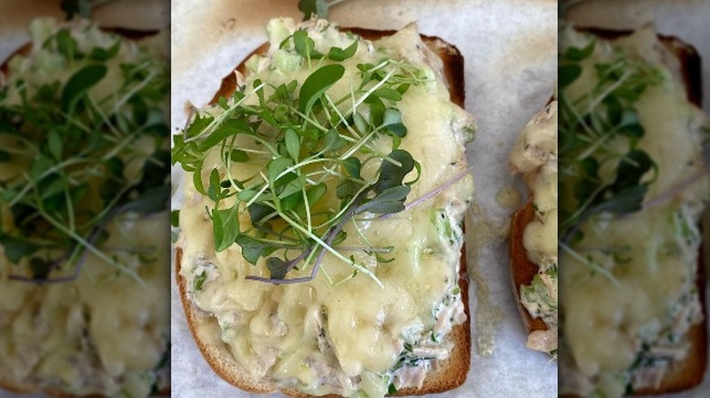 Tuna melt with micro greens