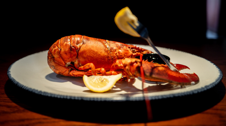 Cooked lobster on plate