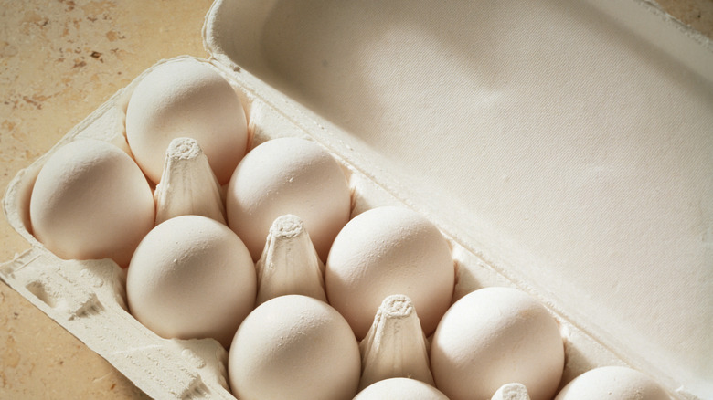 open egg carton