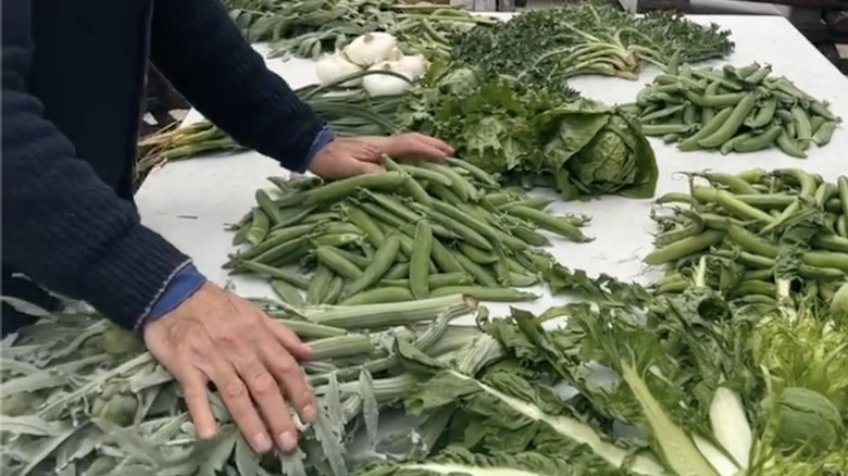 Stanley Tucci hands touching green vegetables in Puglia