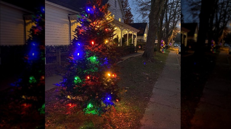 Lit Christmas tree in the dark