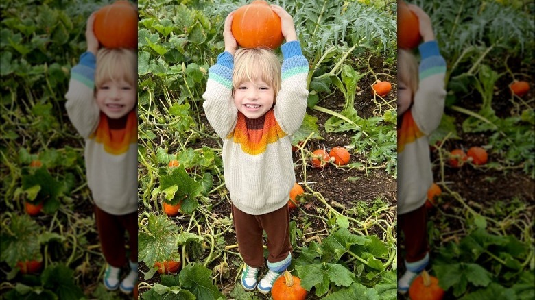 jamie oliver son river pumpkin patch