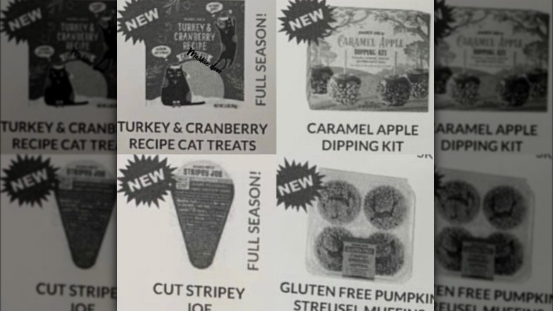 Trader Joe's fall 2022 items