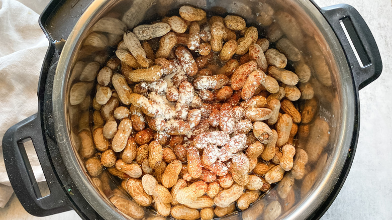 peanuts spices in instant pot