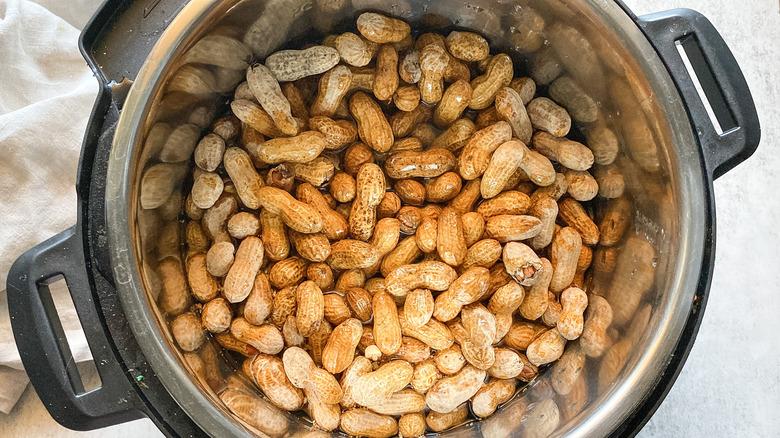 peanuts in instant pot