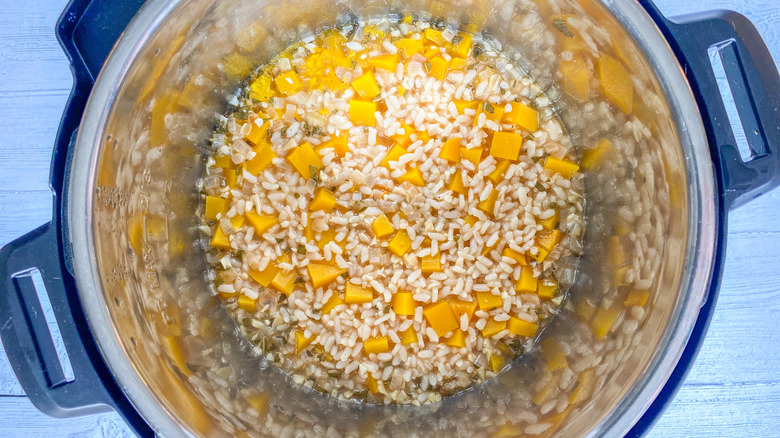 rice and squash in instant pot