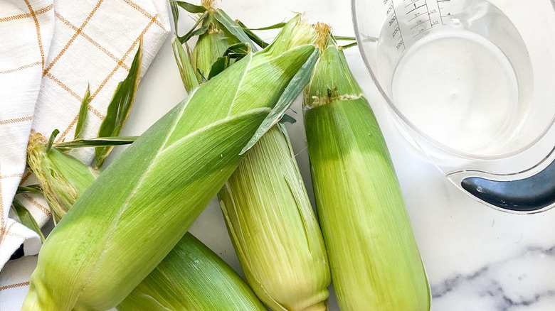 Corn cobs and water - the ingredients for Instant Pot corn on the cob