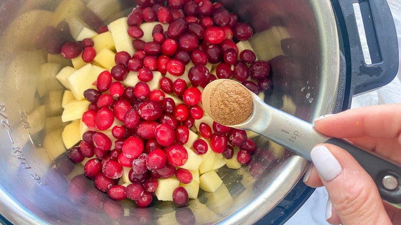 adding cinnamon to Instant Pot