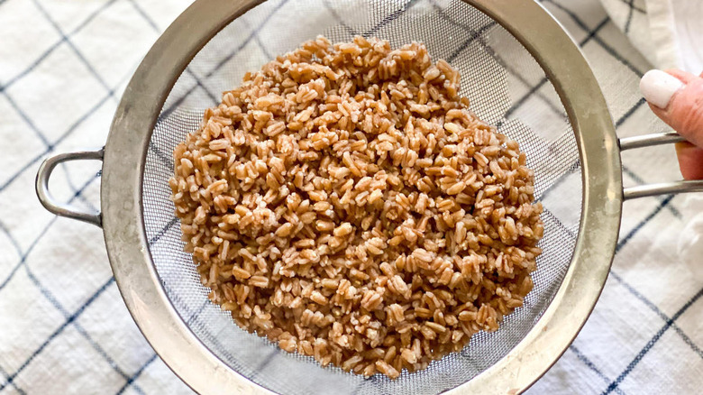 cooked farro in a mesh strainer