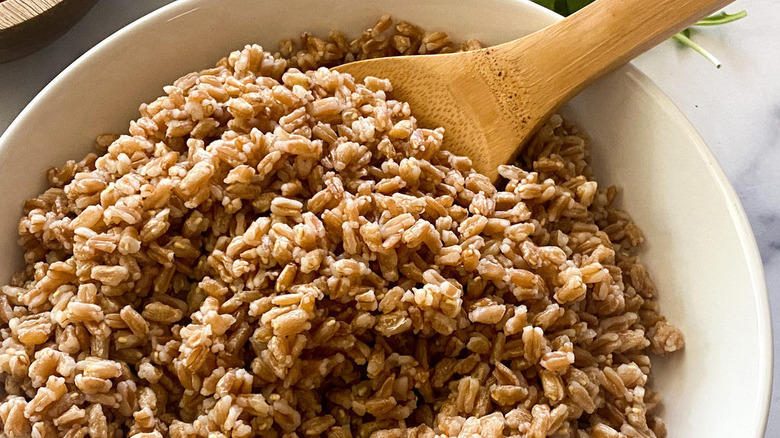 Cooked farro in a bowl with a wooden spoon