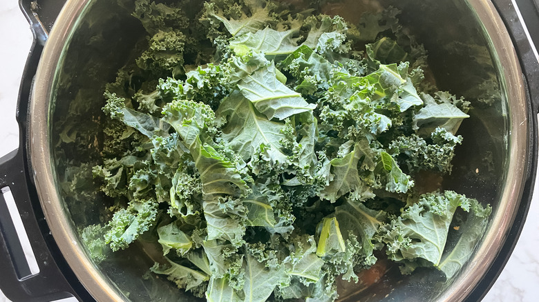 Instant Pot Italian Wedding Soup kale