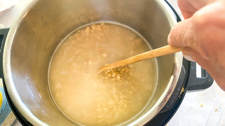 oatmeal in instant pot