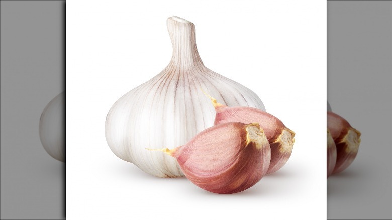 Raw garlic bulb and cloves