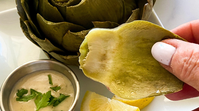 Eating artichoke leaves with dipping sauce