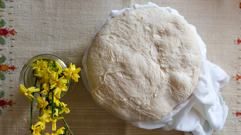 long fermented bread dough