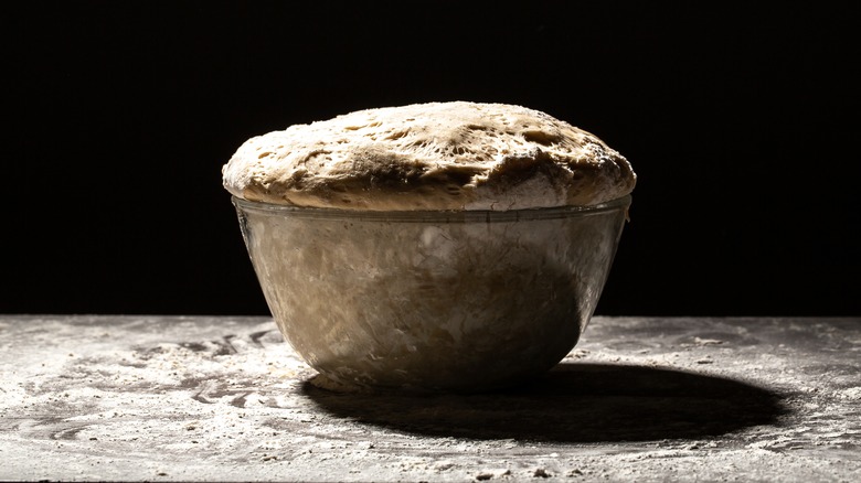 bowl of proofed bread dough