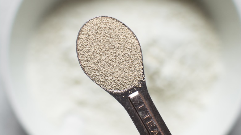 yeast in a measuring spoon