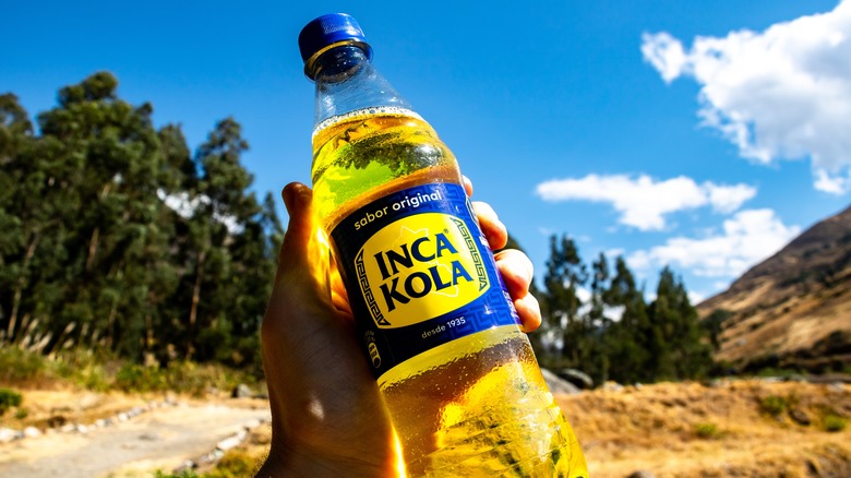 Holding Inca Kola