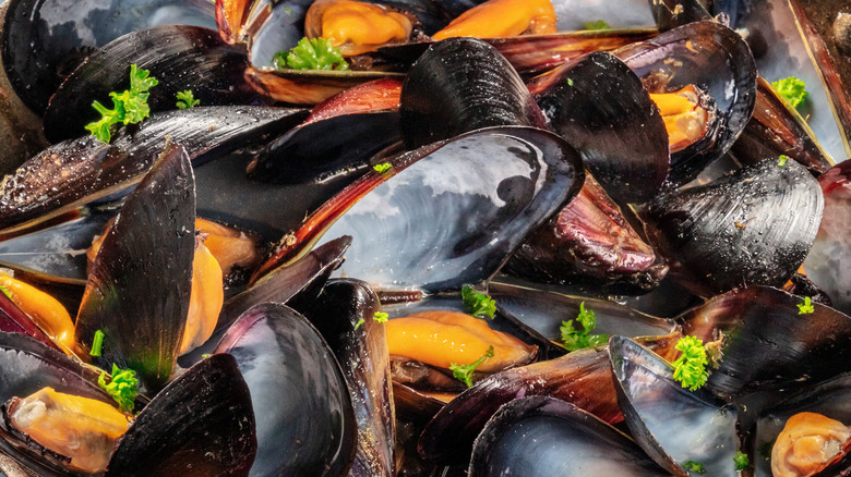 Drunken steamed mussels close up 