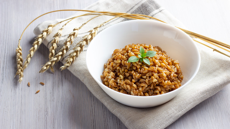 Prepared bowl of farro porridge on white napkin