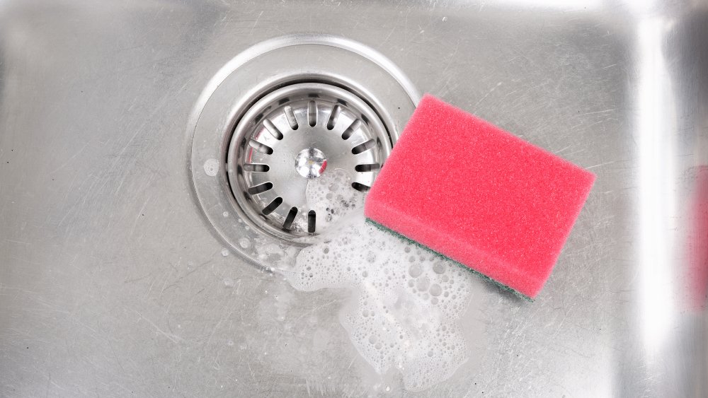 sponge in sink