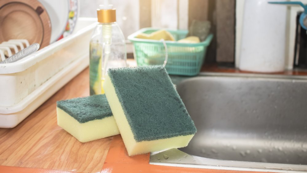 https://www.mashed.com/img/gallery/is-it-safe-to-use-a-kitchen-sponge-during-the-outbreak/intro-1584467385.jpg
