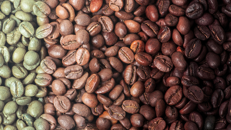 Different shades of roasted coffee beans