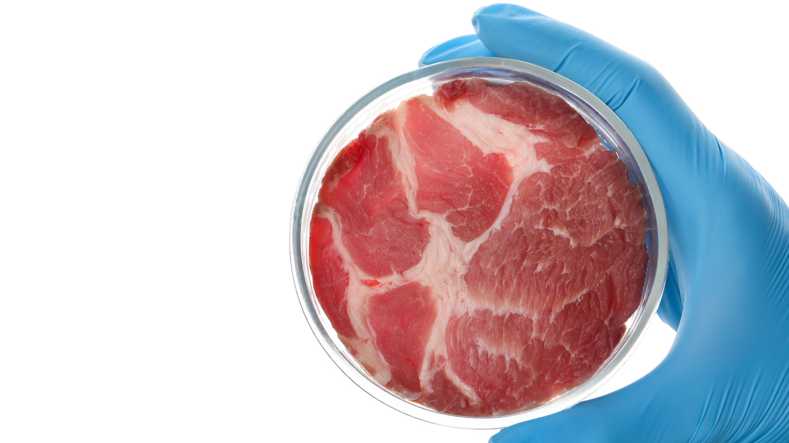 Is Lab-Grown Meat The Future Of Food?