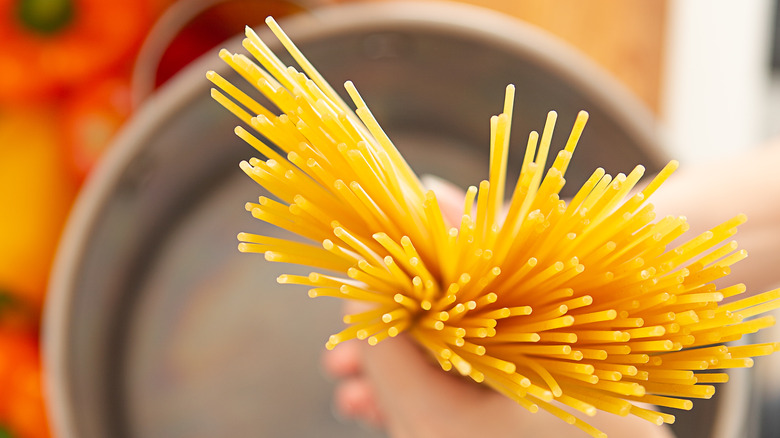 Person holding dried pasta over pot