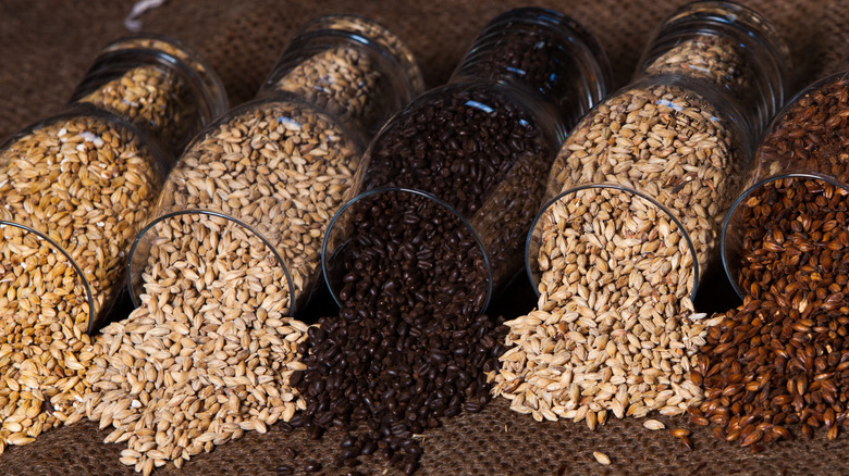 A variety of different malts being poured out of glass jars