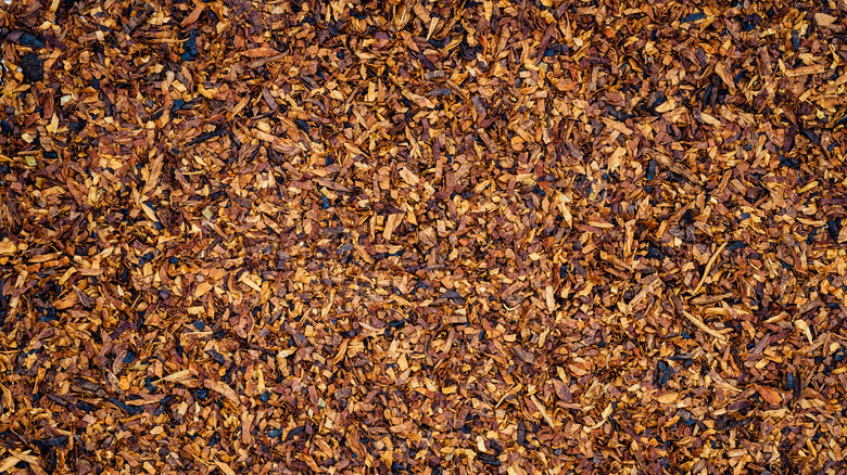 Dried tobacco