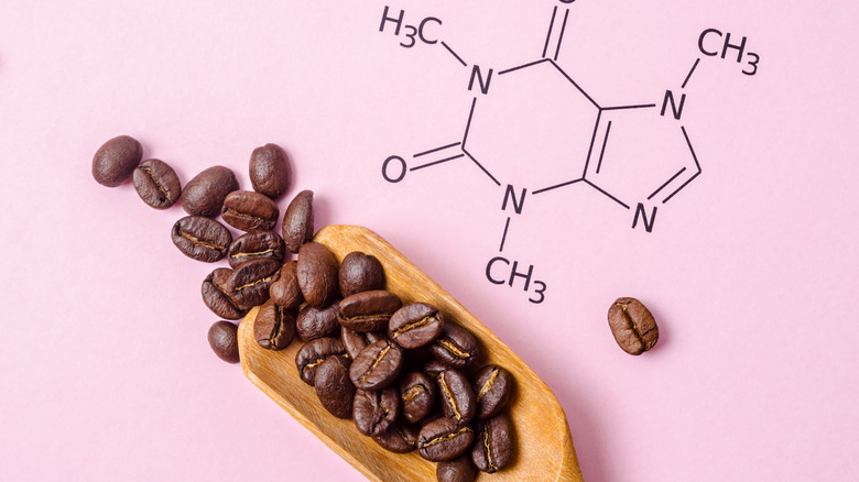 The chemical makeup of caffeine