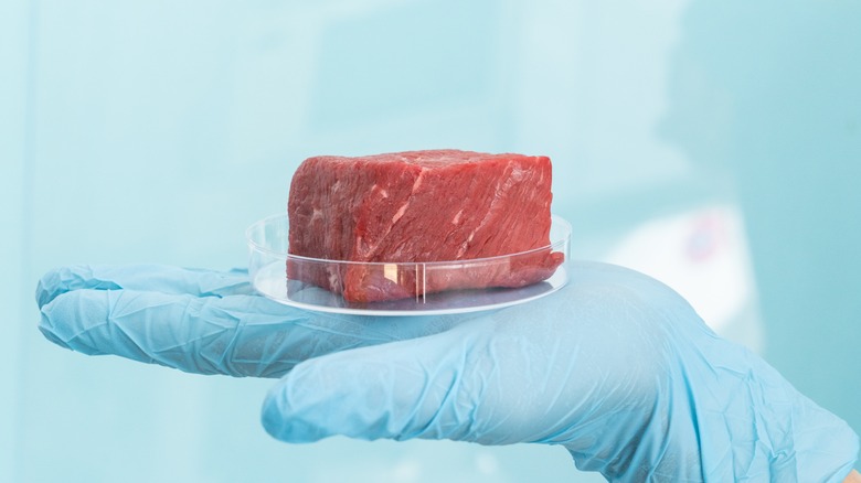 Lab-grown steak