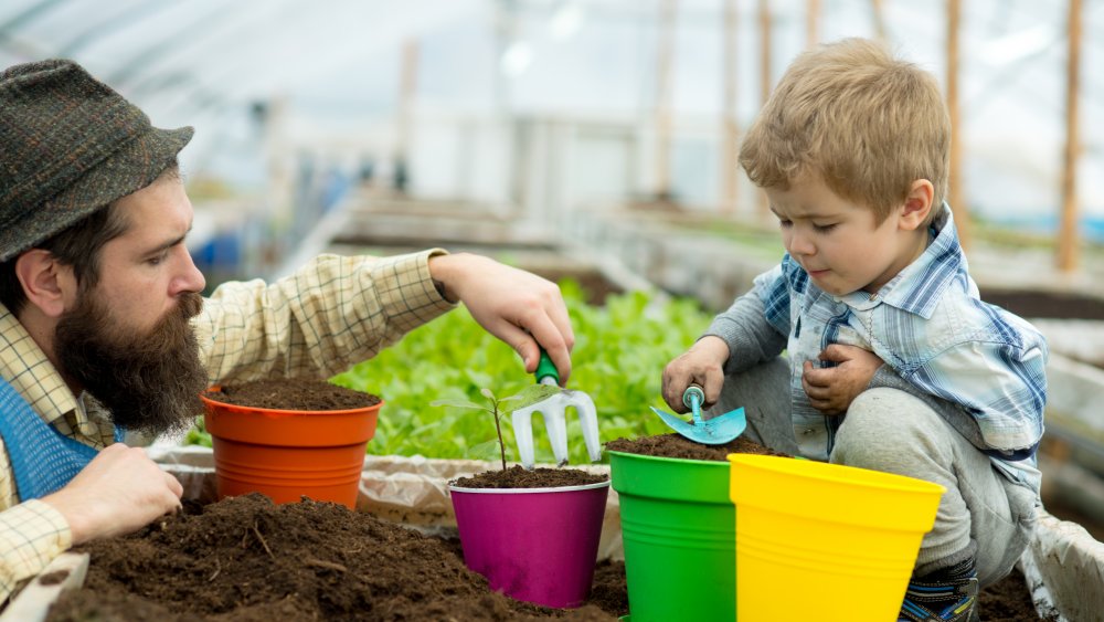 Flower pots from the dollar store grow pretty flowers, too