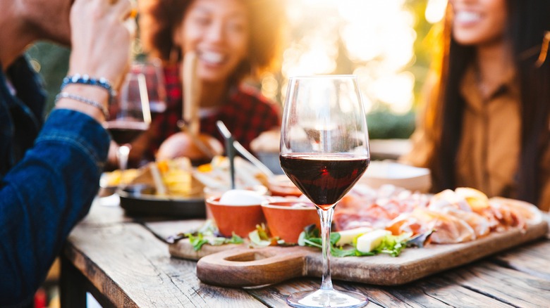 Friends at picnic drinking wine