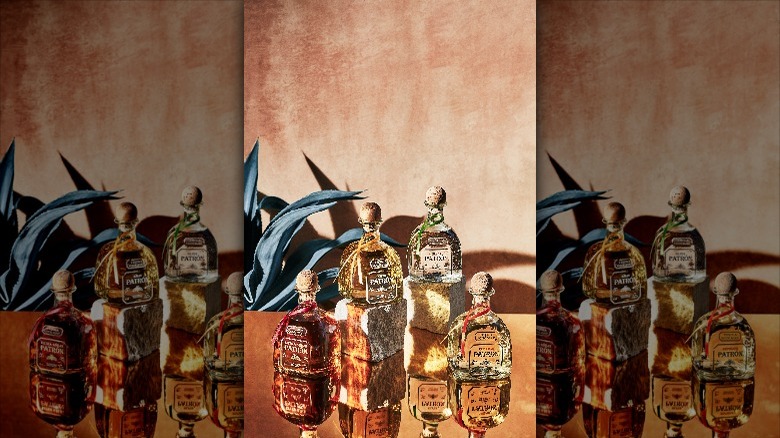 Patrón tequila bottles arranged for display