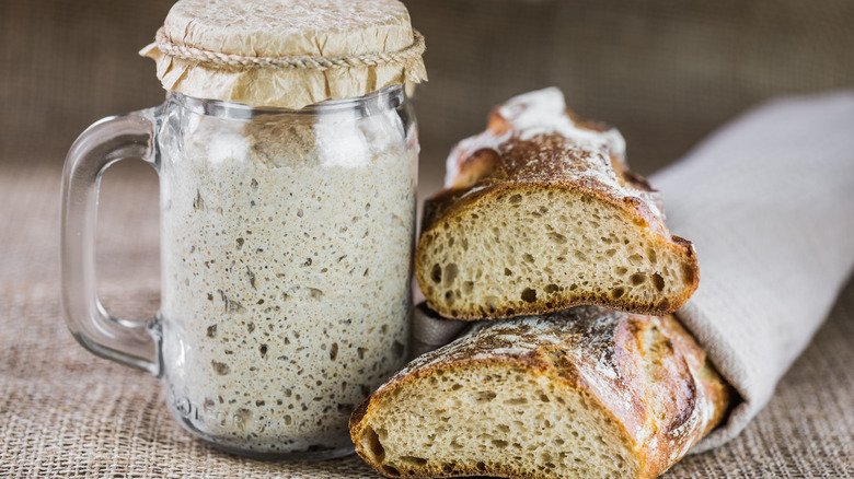 Sourdough starter in a mug next to loaves of bread