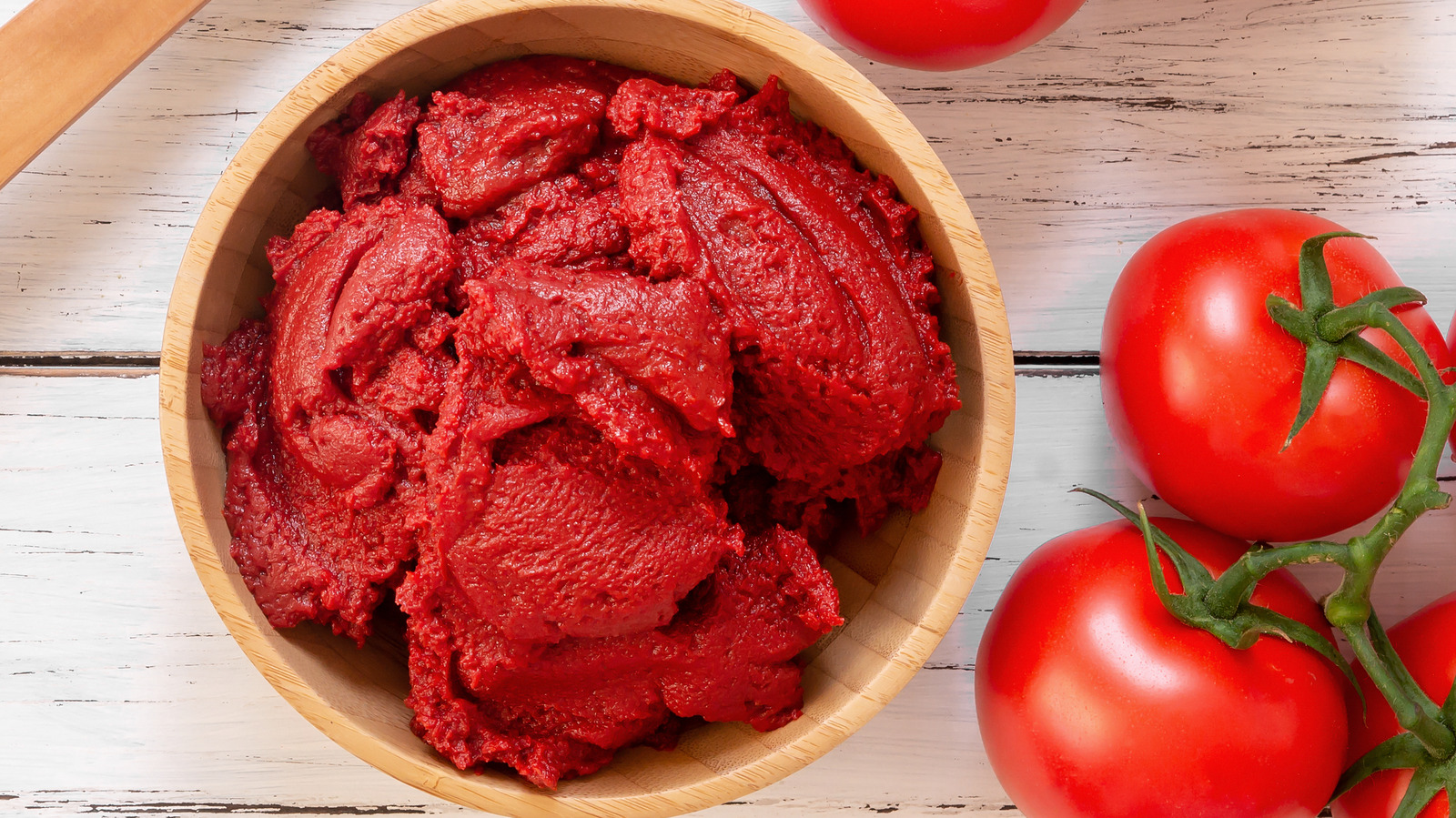 is tomato paste safe for dogs