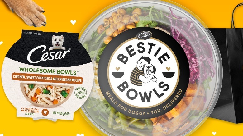 Jeff Mauro's Cesar Brands Bestie Bowls partnership