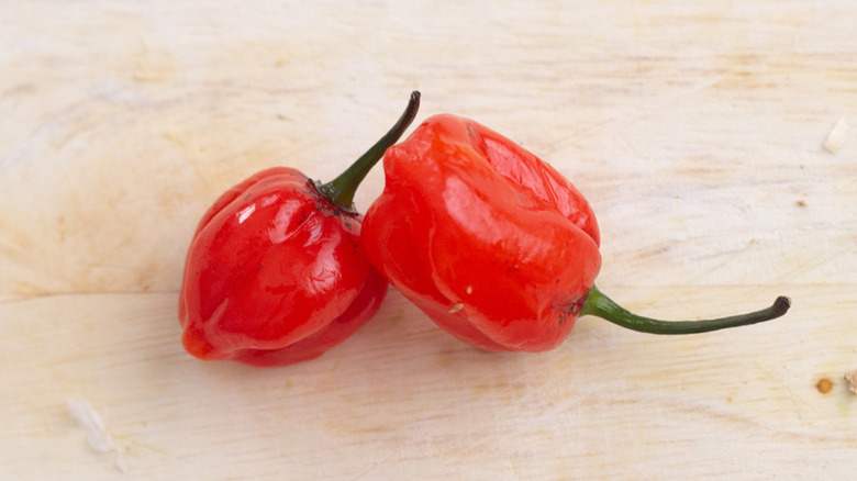 Bright red scotch bonnets