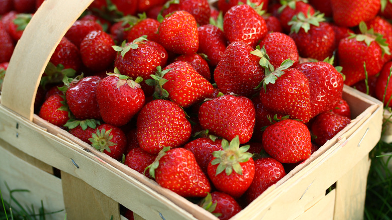 Fresh strawberries