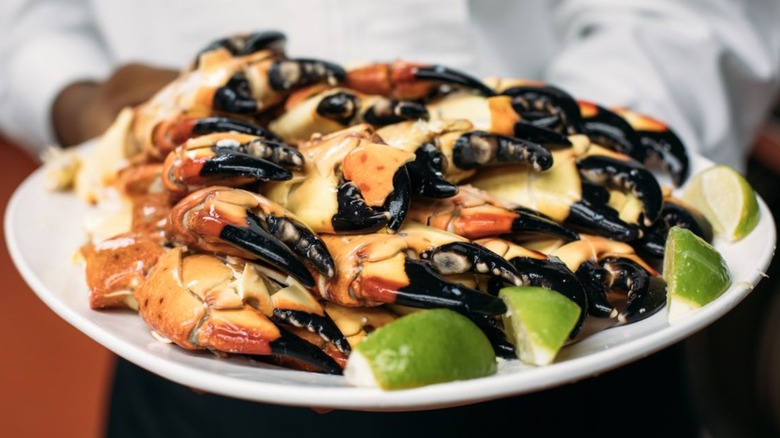 Plate of stone crab claws