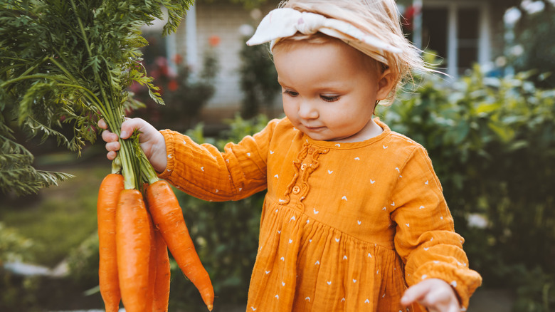 A child holding carrots by their stems