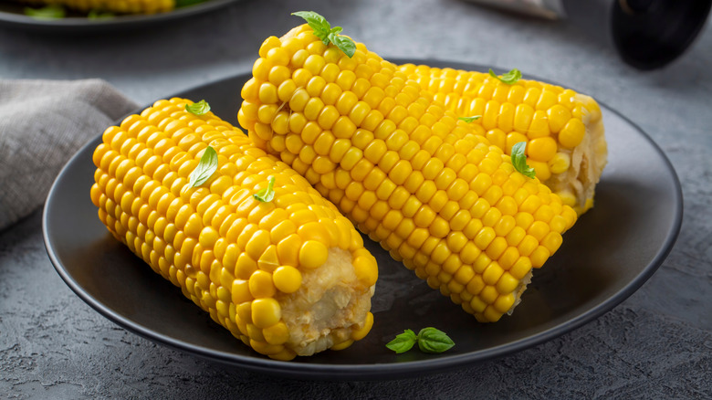 Three short pieces of corn on the cob are plated and lightly herbed.