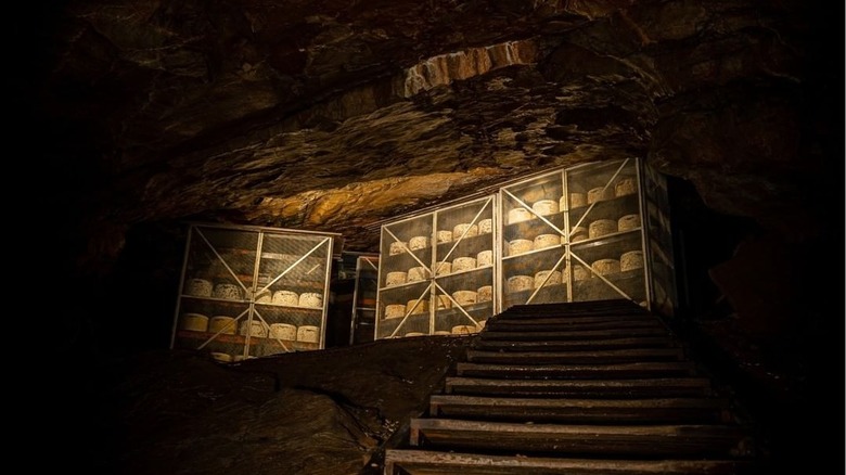 Cheddar Gorge Cheese Company cheddars aging